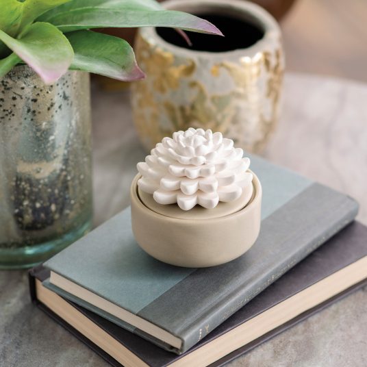 Porcelain Passive Diffuser – Succulent